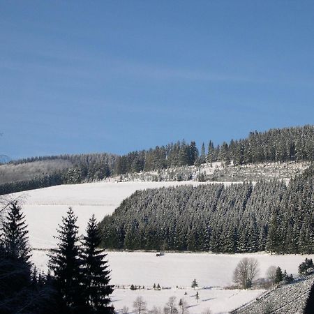 Haus Wald-Eck Daire Schmallenberg Dış mekan fotoğraf