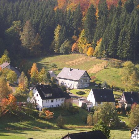 Haus Wald-Eck Daire Schmallenberg Dış mekan fotoğraf