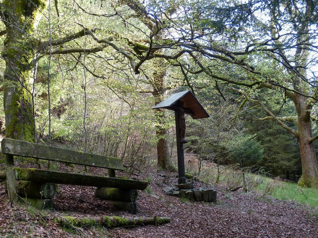 Haus Wald-Eck Daire Schmallenberg Dış mekan fotoğraf