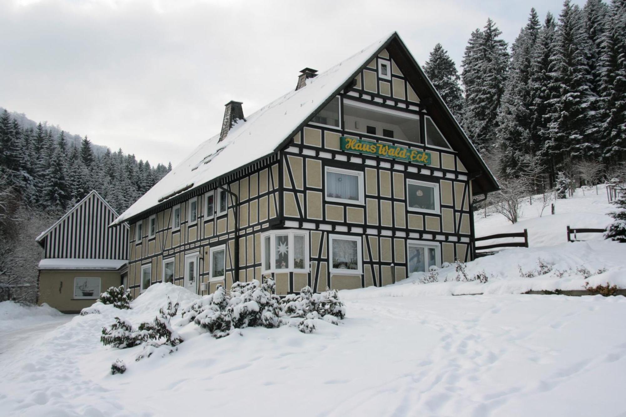 Haus Wald-Eck Daire Schmallenberg Dış mekan fotoğraf