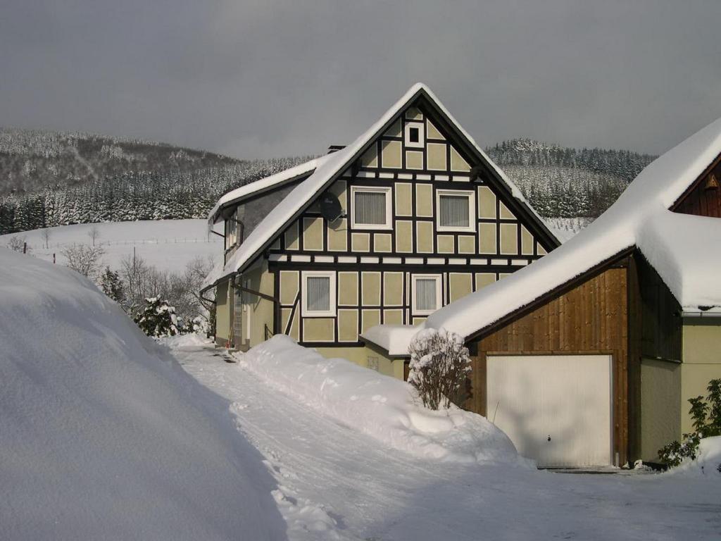 Haus Wald-Eck Daire Schmallenberg Dış mekan fotoğraf