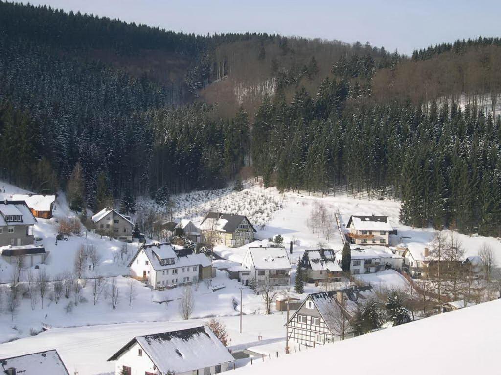 Haus Wald-Eck Daire Schmallenberg Dış mekan fotoğraf