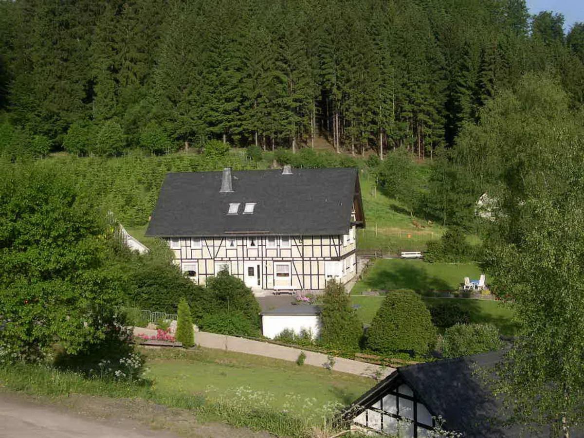 Haus Wald-Eck Daire Schmallenberg Dış mekan fotoğraf